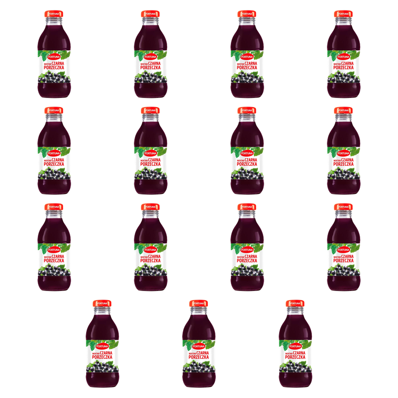 Fortuna Nektar czarna porzeczka 300 ml X15